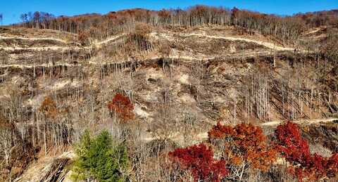 STANLEY STANLEY CREEK, Oneida, TN 37841