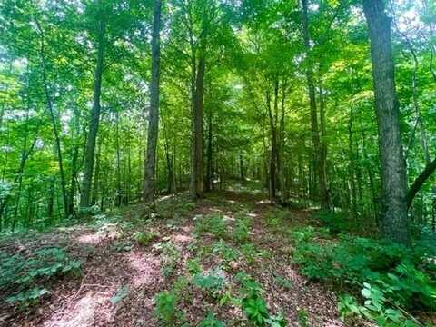 Skaggs Branch Rd, WHITLEYVILLE, TN 38562