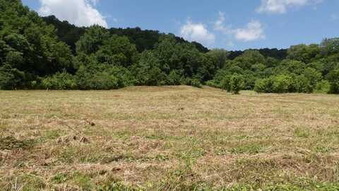 5.6 ac Lonnie Reece Rd, Celina, TN 38551