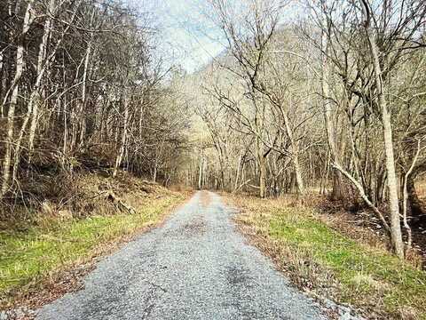 9865 Martin Creek Road, BLOOMINGTON SPRINGS, TN 38545