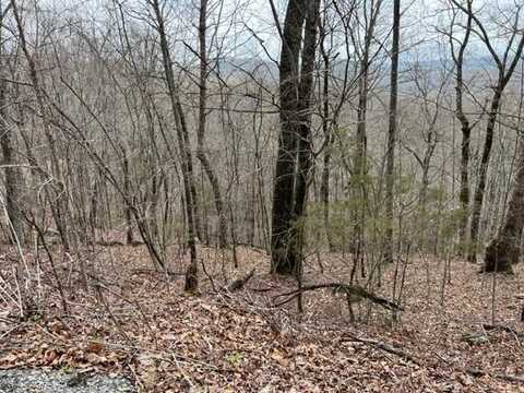 Lot 26 E Sunset Blvd, ALLONS, TN 38541