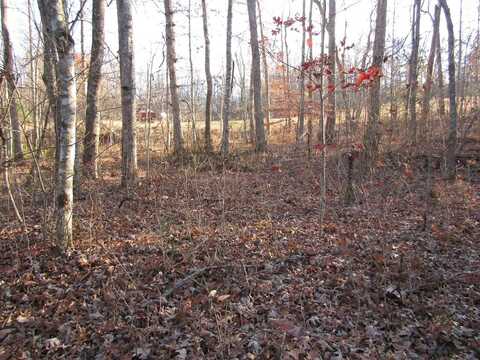 4.2ac Arrow Trail, MONTEREY, TN 38574