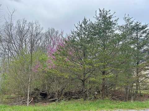 254 Kingsdown Dr, CROSSVILLE, TN 38558