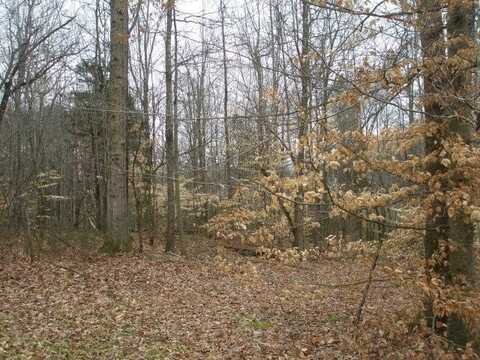 Lot 28 Longstreet Drive, COOKEVILLE, TN 38501