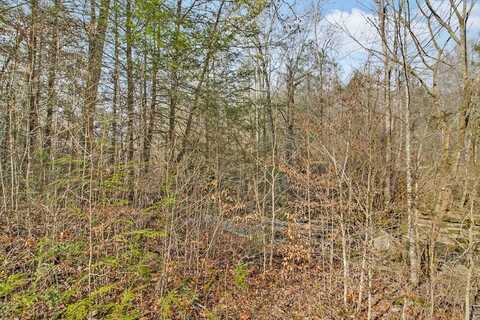 n/a Double Top Road, Jamestown, TN 38556