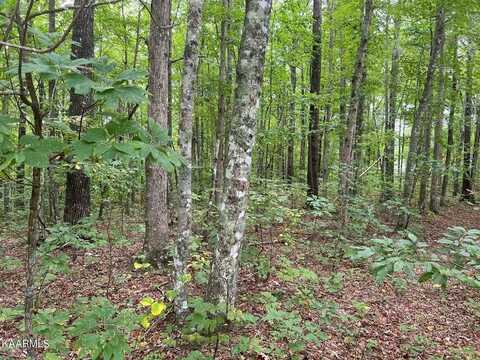 Lot 11 Falls Rd., MONTEREY, TN 38574