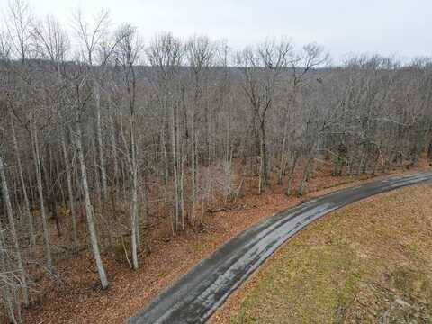 29+/- AC Brown Ridge Rd, Baxter, TN 38501