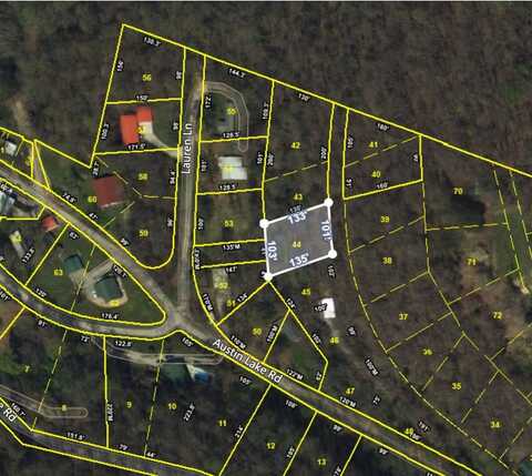 Austin Lake Rd Lot 44, SMITHVILLE, TN 37166