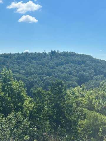 Lot 7 Bear Knob, CRAWFORD, TN 38554