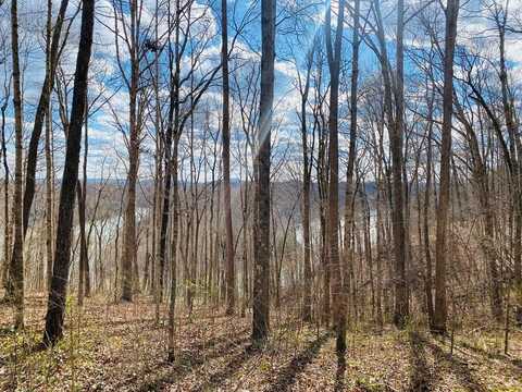 Lot 114 Faix Rd., Byrdstown, TN 38549