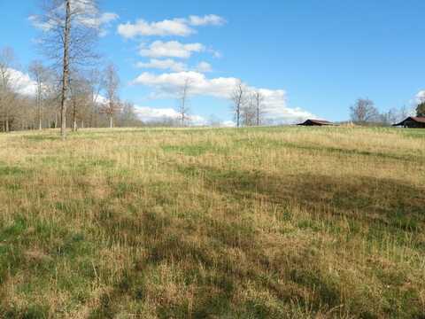 6.5 AC Creed Wright Rd, Walling, TN 38587