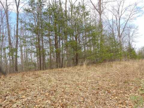 Lot 16R Stockton Bluffs Lane, Jamestown, TN 38556