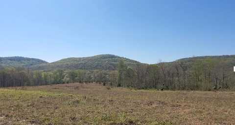 Lot 7 Bear Hollow Lane, LIVINGSTON, TN 38570