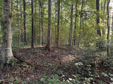 16.53ac Riverton Rd, Jamestown, TN 38556