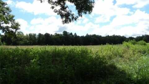 8ac Sugar Creek Rd, GAINESBORO, TN 38562