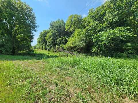 78.90ac Baugh Hollow Rd, GAINESBORO, TN 38562