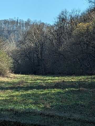 90.93ac Baugh Hollow Rd, GAINESBORO, TN 38562