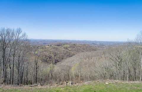 38.8 Ac. Anderson Road, Byrdstown, TN 37067