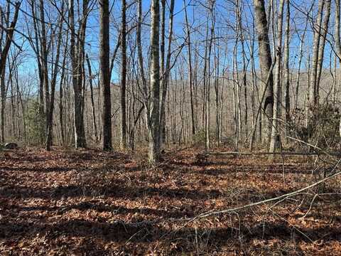 Lot 21 E Cove Rd., MONTEREY, TN 38574