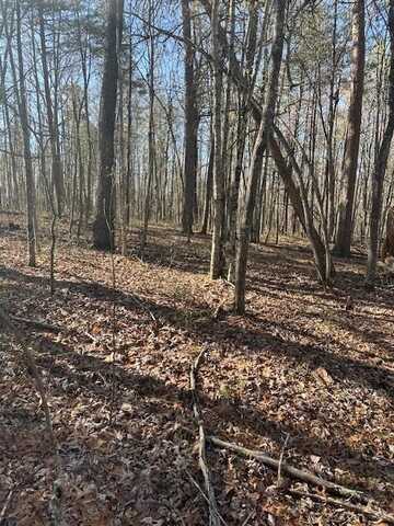 Lot 354 Hood Lane, WILDER, TN 38589