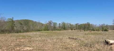 Lot 6 Bear Hollow Lane, LIVINGSTON, TN 38570