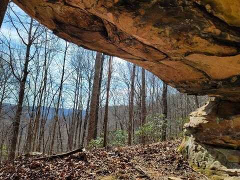 722 Flat Top View, WILDER, TN 38589