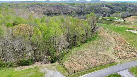 Allen Bend Rd, SMITHVILLE, TN 37166