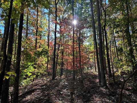 Partridge Trail, Grandview, TN 37337