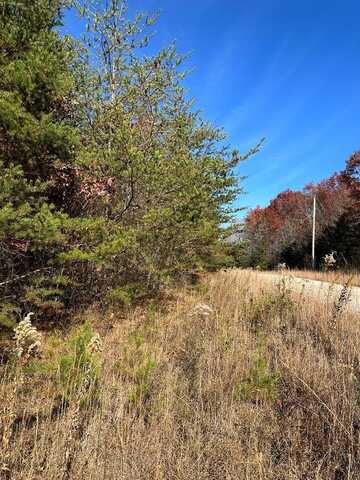 Lot 65 Panther Falls Rd, WILDER, TN 38589