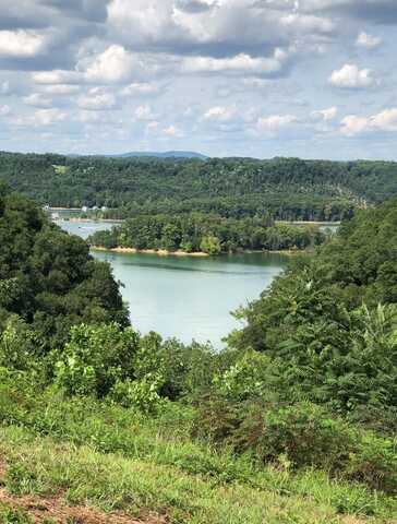 Lot 17 Bluebird Pt, Byrdstown, TN 38549