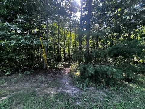 Lot 590 Stone Have Tr, Jamestown, TN 38556