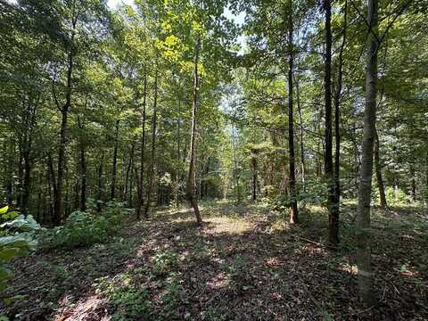 12.55ac Winningham Rd, Byrdstown, TN 38549