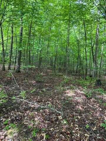 Lot 335 Flat Top View, WILDER, TN 38589