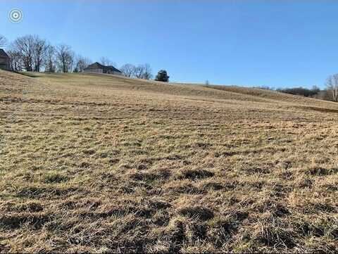 705 Blue Water Dr_Lot 86, COOKEVILLE, TN 38506