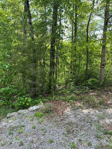 3 rd Ct, Altamont, TN 37301