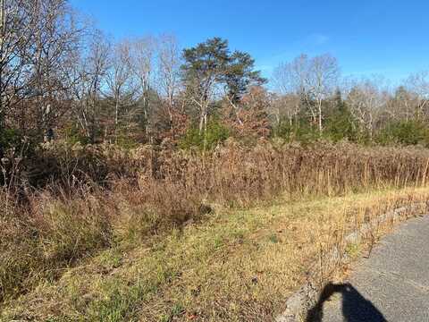 HWY 127 LOT #9 HWY 127 NORTH, CROSSVILLE, TN 38555