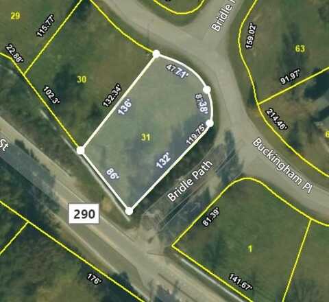 Buckingham Place Lot # 31, COOKEVILLE, TN 38501