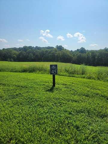 Lot 45 Dry Branch Way, Dunlap, TN 37327