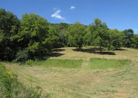 14ac Hartsville Rd, LAFAYETTE, TN 37083