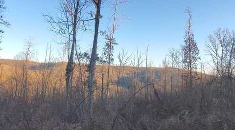 Tract 10 Off Glenobey Road, Jamestown, TN 38555