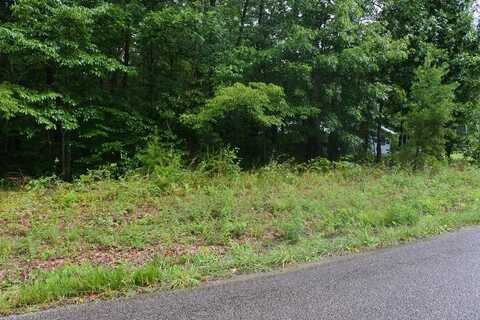 1.5 AC S York Hwy, Clarkrange, TN 38553