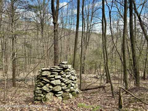 0 Lot Jonet Lane, Bearsville, NY 12409