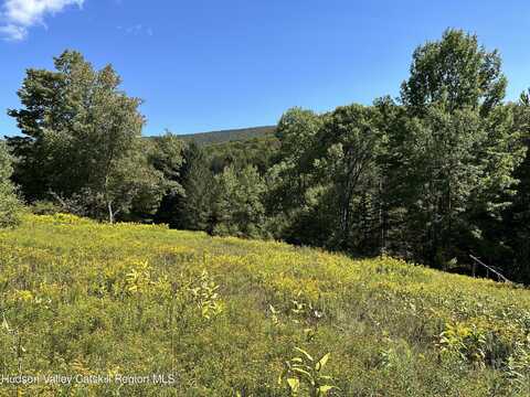 Tbd Todd Mountain Road, Arkville, NY 12406