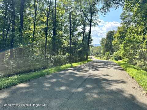 0 Lot Shagbark Drive, Shokan, NY 12481