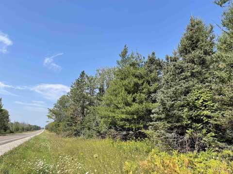 80 Acres Off M94, Skandia, MI 49885