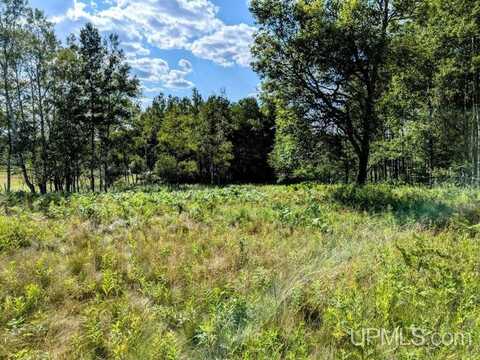 25 acres River, Iron River, MI 49935