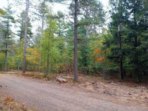 TBD White Pine (Lot 4), Marquette, MI 49855