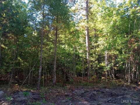 TBD White Pine (Lot 7), Marquette, MI 49855