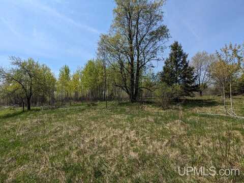 Lot 18 Willow, Gaastra, MI 49927