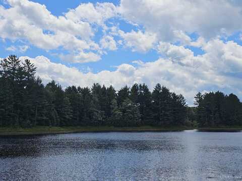 TBD Warner Mine, Crystal Falls, MI 49920